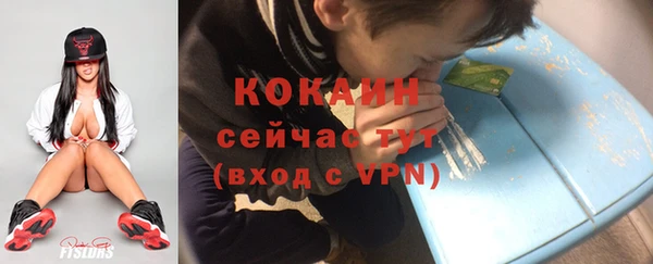индика Снежинск