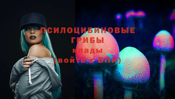 мяу мяу мука Абинск