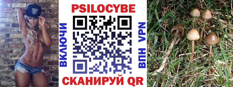 OMG вход Благодарный Псилоцибиновые грибы мицелий
